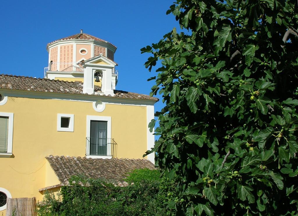 Farmstay La Morella Battipaglia Bagian luar foto